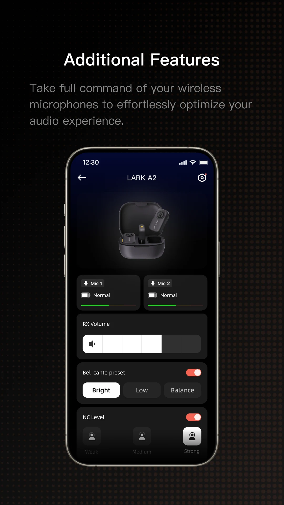 HollyAudio screenshot