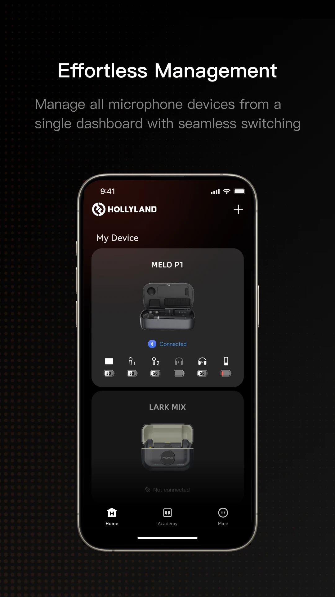 HollyAudio screenshot